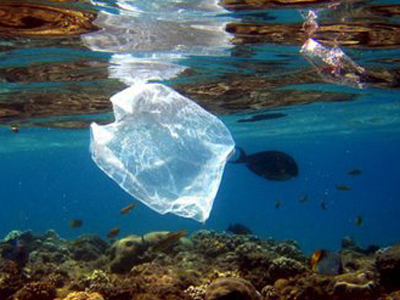 Σκουπιδότοπος πλαστικών έχει καταντήσει η Μεσόγειος Θάλασσα