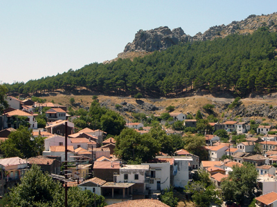 Σήμα κινδύνου για τα δάση της Σαμοθράκης