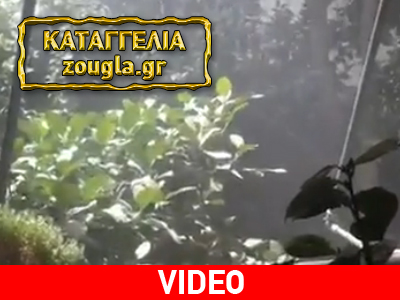 Άλιμος: Πνίγονται στη σκόνη λόγω… κατεδάφισης κτηρίου