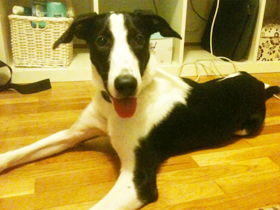 Η όμορφη Φοίβη ψάχνει οικογένεια