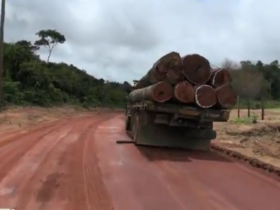 Ακτιβιστές αποκαλύπτουν παράνομες υλοτομίες στον Αμαζόνιο