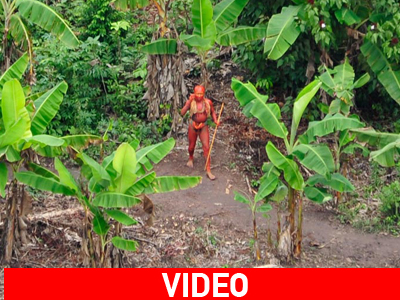 Πρώτα πλάνα μιας απομονωμένης φυλής του Αμαζονίου!