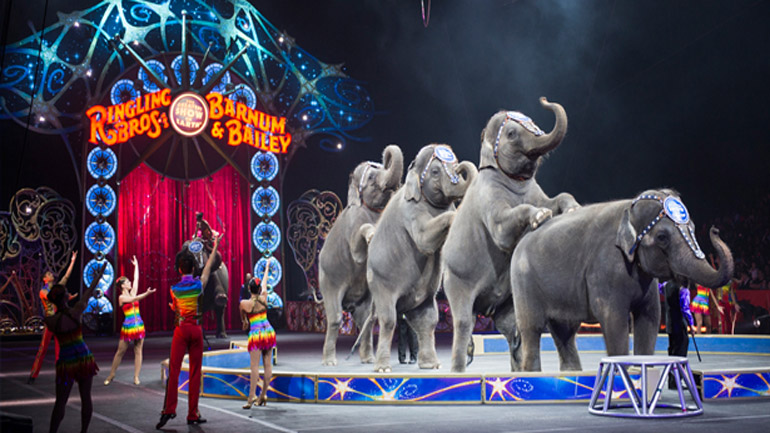 Το μεγαλύτερο αμερικανικό τσίρκο καταργεί τους ελέφαντες λόγω αντιδράσεων