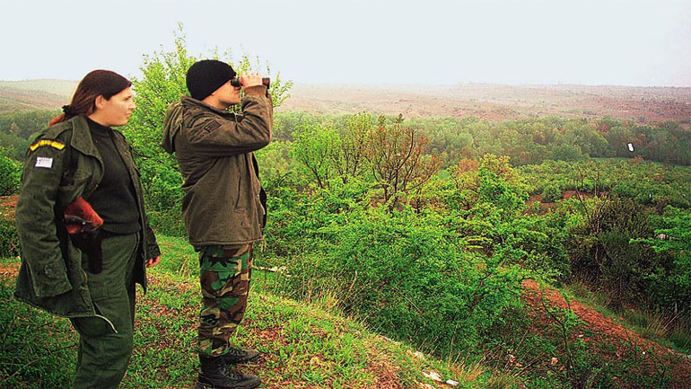 Μετέφερε μετανάστες μέσα σε δέματα με άχυρο και συνελήφθη