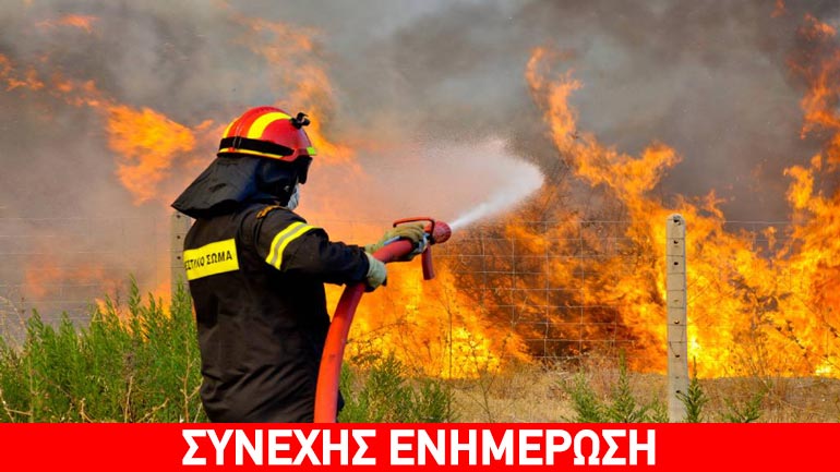 Νέα πύρινα μέτωπα σε Οινόφυτα, Σκύρο, Δίστομο, Ζάκυνθο, Ηλεία