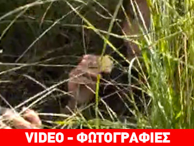 Κοριτσάκι 4 ετών χάθηκε για δύο εβδομάδες σε δάσος της Σιβηρίας και… γλίτωσε!