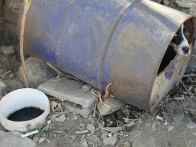 «Τέρμα στην ελληνική ντροπή με τα βαρελόσκυλα»