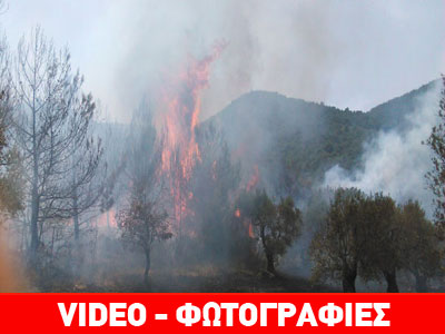 Πυρκαγιά στη Μυτιλήνη κοντά σε στρατιωτικές εγκαταστάσεις