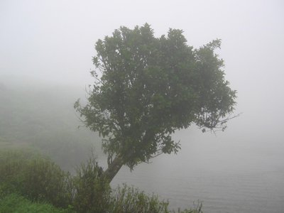 Μαντρότοιχος καταπλάκωσε αυτοκίνητα στα Τρίκαλα