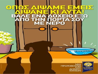 Καμπάνια του δήμου Χανίων για τα αδέσποτα