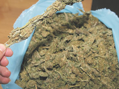 Εντόπισαν 8 κιλά χασίς, αλλά τους ξέφυγε ο διακινητής!