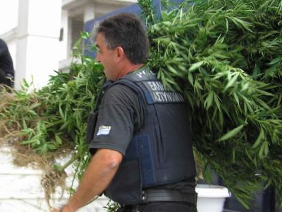 Ιωάννινα: καλλιεργούσε ολόκληρη φυτεία χασίς!