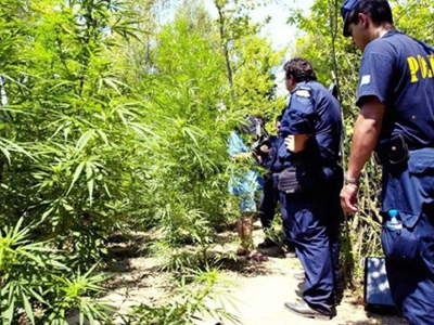 Αλεξανδρούπολη: εξαρθρώθηκε κύκλωμα διακίνησης ναρκωτικών