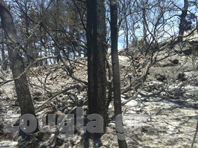 Ανεξ. Έλληνες: Καταθέτουν φάκελο στη Βουλή για την καταστροφή της Χίου