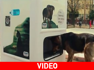 Μηχανή ανακύκλωσης ταΐζει αδέσποτα ζώα