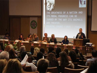 «Περιορισμένης εμβέλειας» η φιλοζωική κουλτούρα στην Ελλάδα