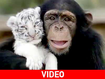 Όταν η Φύση έχει κέφια…