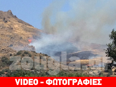 Μυτιλήνη: Πυρκαγιά στη Σκάλα Ερεσσού