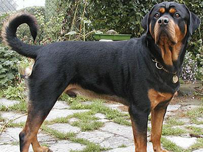 Του βγήκε «ξινή» η διάσωση