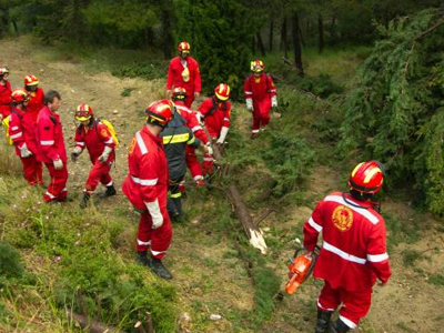 «Ξενιτεμένοι» προσφέρουν για τη δασοπροστασία της Χίου