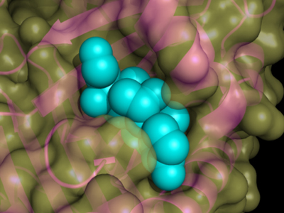 Τι είναι το σύνδρομο Cushing;