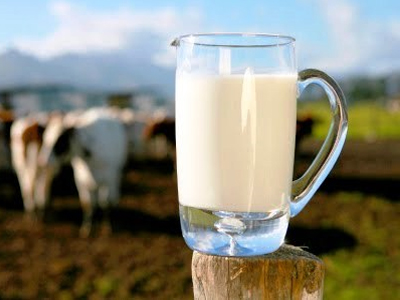 Tο πλήρες γάλα «φάρμακο» για το διαβήτη
