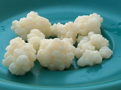 Κεφίρ: Ελιξίριο ζωής