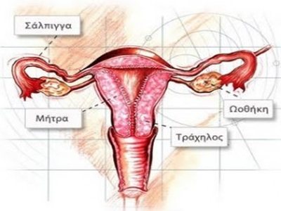 Η δισφαινόλη ύποπτη για πολυκυστικές ωοθήκες