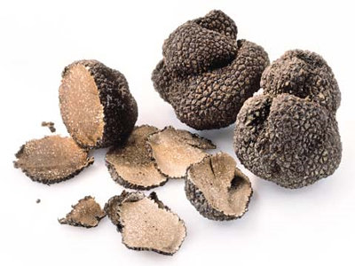 Τρούφα : Ένας θαμμένος «θησαυρός»