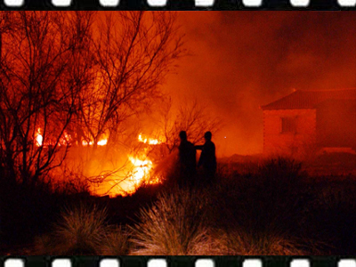 Το προφίλ του εμπρηστή δάσους (2000-2009)