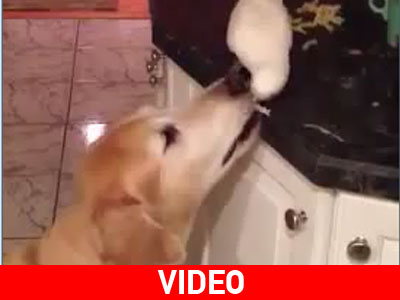 Αυτό θα πει να είσαι φίλος…