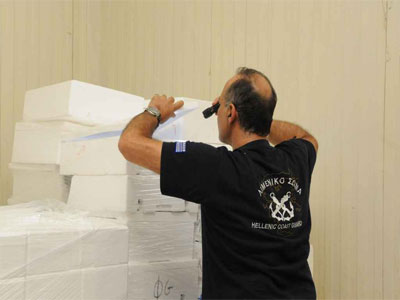 Μετ’ εμποδίων οι έλεγχοι από το λιμενικό σταθμό Παλουκίου