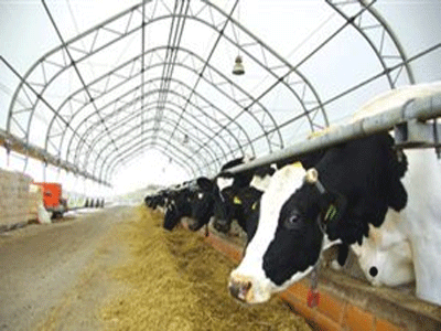 Επένδυση στην εκπαίδευσή τους επιθυμούν οι νέοι κτηνοτρόφοι