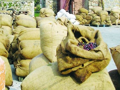 Έκλεψε τσουβάλια με ελιές