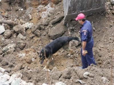 Άκαρπες οι έρευνες για τον εντοπισμό 78χρονου νεφροπαθή στο Ηράκλειο