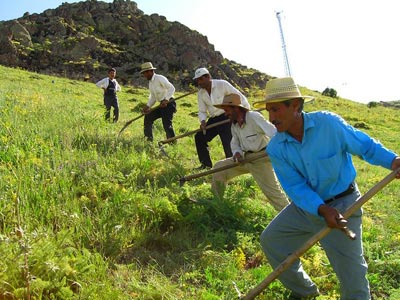 Την Τρίτη οι αποζημιώσεις στους αγρότες