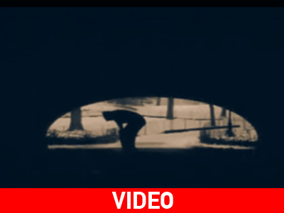 Why Do We Fall – Motivational Video