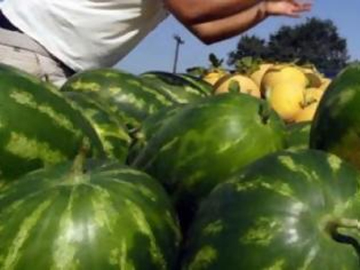 Η νταλίκα με το καρπούζι έκρυβε χασίς