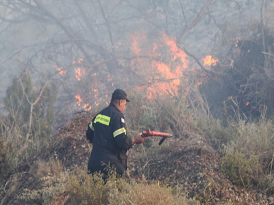 Ολονύχτια μάχη με τις φλόγες στην Κάρυστο