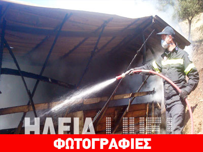 Αρχ. Ολυμπία: Φωτιά κατέστρεψε στάβλο στα Βιλιζέικα Χάνια