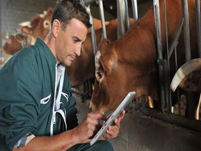 Αιτήσεις από ιδιώτες που ενδιαφέρονται να γίνουν «κτηνίατροι εκτροφής»