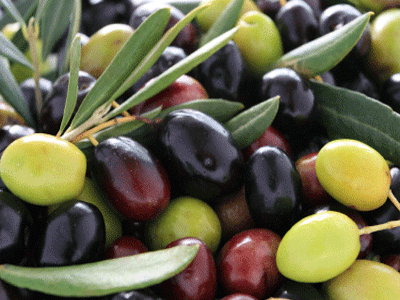 Αποζημίωση μαμούθ σε ιδιοκτήτη έκτασης με ελιές