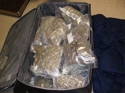 Κουβαλούσε βαλίτσες με 37 κιλά μαριχουάνα