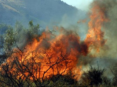 Πέθανε από ανακοπή την ώρα που έκαιγε ξύλα