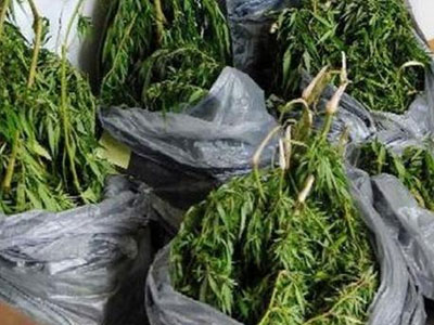 Ζευγάρι Κρητικών διακινούσε ναρκωτικά