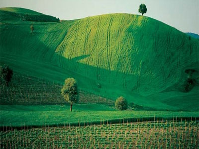 Tέσσερα νέα αγροτικά έργα στη Π.Ε Τρικάλων