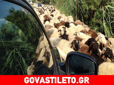 Ποια τραγουδίστρια… κόλλησε στην κίνηση;