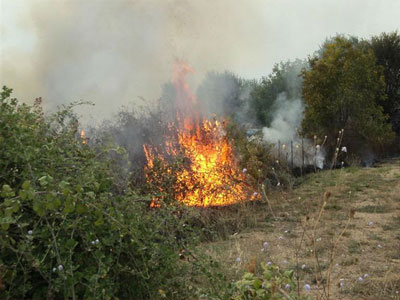 Κρήτη: Φωτιά ξέσπασε στα Μουλιανά