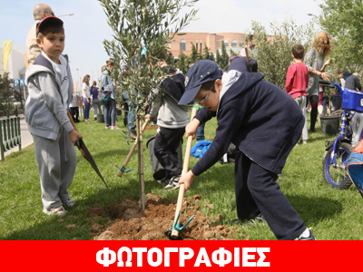 Δενδροφύτευση στη μνήμη αγαπημένων προσώπων