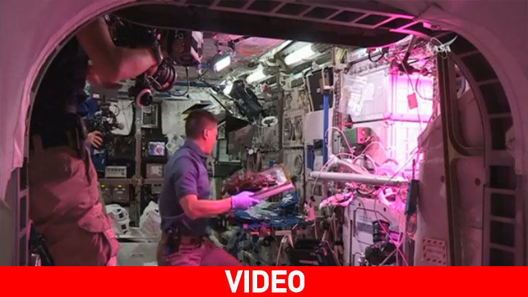 Οι αστροναύτες του ISS δοκιμάζουν την πρώτη «διαστημική» σαλάτα